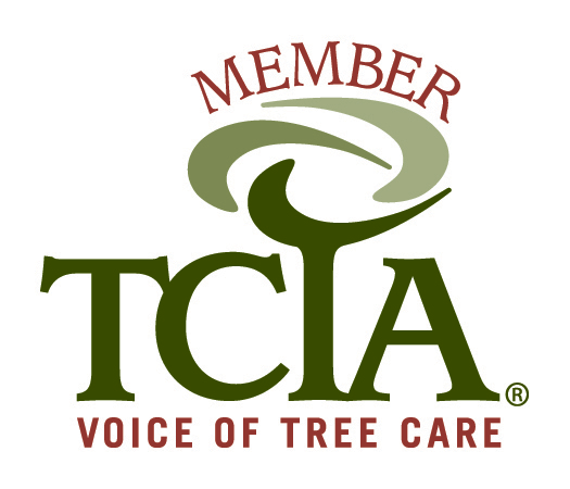 TCIA Member