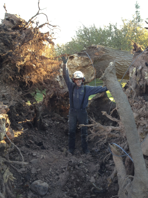Lee Gilman arborist