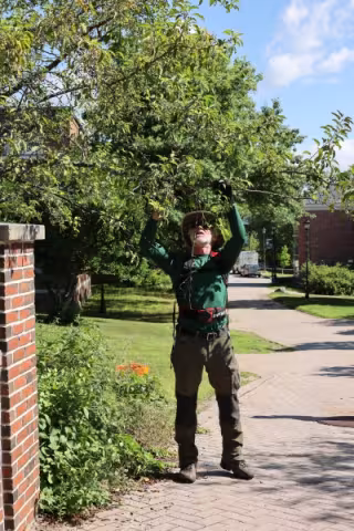 Lee